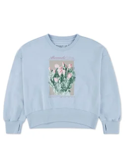 Abercrombie & Fitch Blue Graphic Crew Neck Jumper