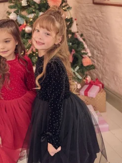 Angel & Rocket Black Elsie Velvet Tulle Dress