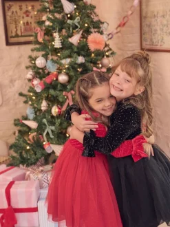 Angel & Rocket Black Elsie Velvet Tulle Dress