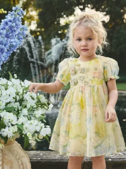 Yellow Floral Print Flower Corsage Dress (3mths-8yrs)